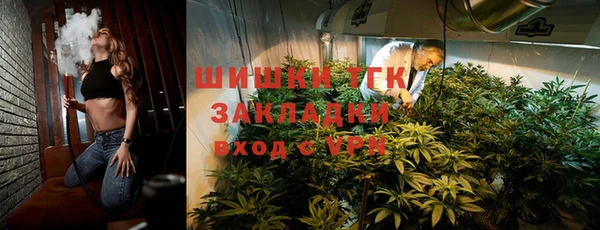 прущие грибы Арсеньев