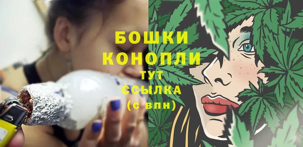 прущие грибы Арсеньев